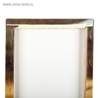 Модульная картина "Король саванны" (2-25х50, 30х60 см) 60х80 см