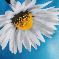 Чехол для гладильной доски Nika, 130×52 см, с поролоном, рисунок МИКС Чехол для гладильной доски Nika, 130×52 см, с поролоном, рисунок МИКС