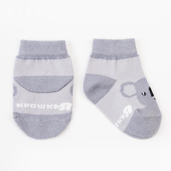Набор носков Крошка Я &laquo;Коала&raquo;, 2 пары, 8-10