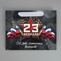 Пакет подарочный ламинированный вертикальный, упаковка, &laquo;23 февраля&raquo;, MS 23 х 18 х 10 см