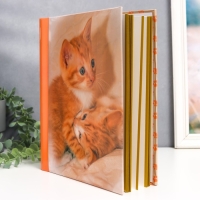 Фотоальбом 30 магнитных листов "Рыжики" 23х28 см