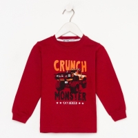 Свитшот для мальчика цвет бордовый, рост 98 Свитшот для мальчика цвет бордовый, рост 98