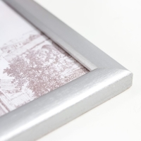 Фоторамка сосна с19 серебро 10х15 см (пластиковый экран)