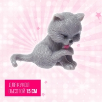 Аксессуары для кукол &laquo;Любимый питомец&raquo;