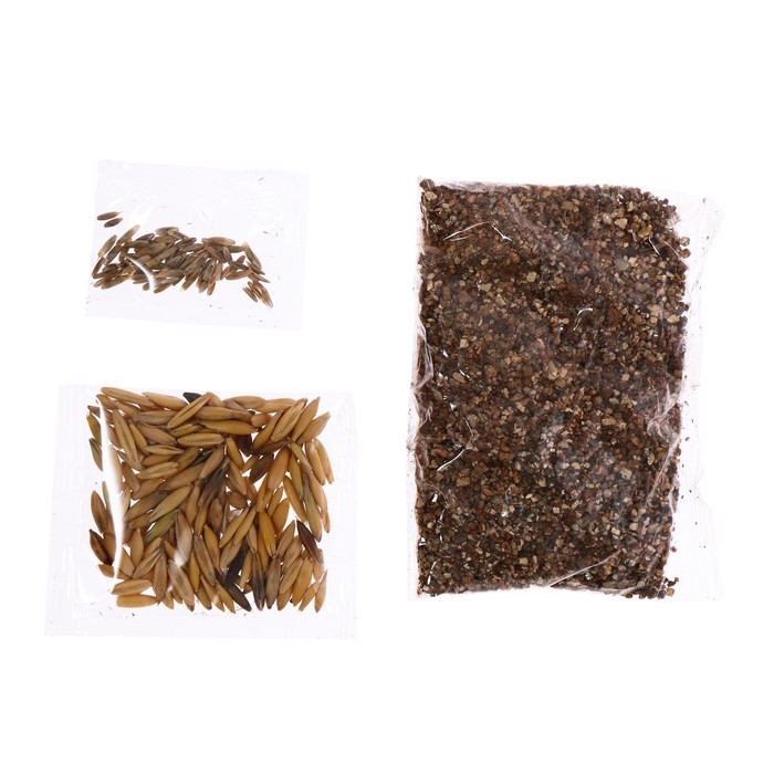 Набор для опытов «Мой мини-сад: Динозаврики», вырасти травку Набор для опытов «Мой мини-сад: Динозаврики», вырасти травку