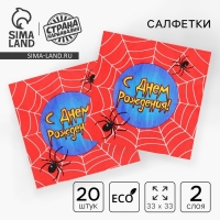 Салфетки бумажные двухслойные &laquo;С днём рождения&raquo;, паутина, 33х33, 20 шт.