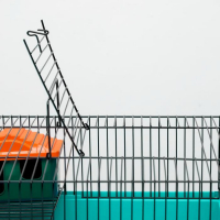 Клетка для грызунов "Пижон" №4, с этажом, укомплектованная, 37х26х18 см, бирюзовая Клетка для грызунов "Пижон" №4, с этажом, укомплектованная, 37х26х18 см, бирюзовая