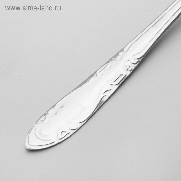 Набор столовых ложек «Общепит», толщина 0,7 мм, длина 19 см, 6 шт, цвет серебряный Набор столовых ложек «Общепит», толщина 0,7 мм, длина 19 см, 6 шт, цвет серебряный