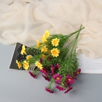 Букет "Гелихризум" 32 см, микс