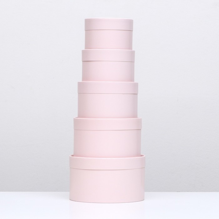 Набор шляпных коробок 5 в 1,"Пастельный" 20 х 12,18 х 11,16 х 10,14 х 9,13 х 8,5 см