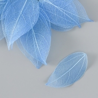 Листья скелетированные для творчества "Синие" набор 20 шт h=6-6,5 см Листья скелетированные для творчества "Синие" набор 20 шт h=6-6,5 см