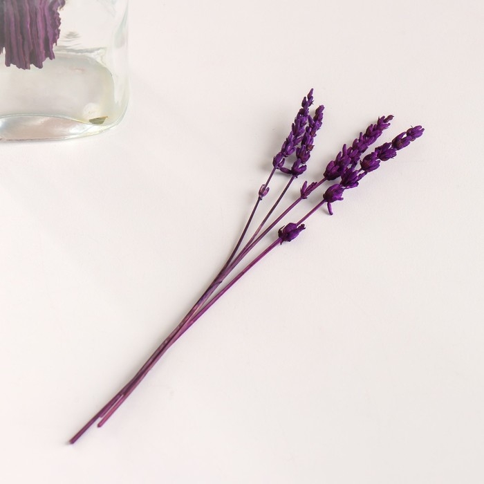 Набор сухоцветов Набор сухоцветов "Лаванда", банч длина 15 (+/- 6 см), сиреневый