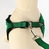 Комплект амуниции рельефный, поводок 120 х 2 см, ОГ 44-50 см, зелёно-чёрный Комплект амуниции рельефный, поводок 120 х 2 см, ОГ 44-50 см, зелёно-чёрный