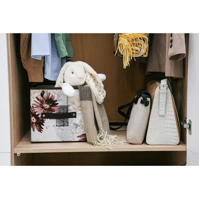 Короб стеллажный для хранения Доляна &laquo;Астра&raquo;, 25&times;25&times;25 см