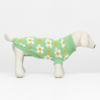 Свитер "Ромашки", размер M (ДС 30, ОШ 27, ОГ 40 см), зелёный