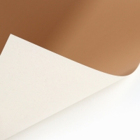 Картон цветной, А4, 15 листов, 15 цветов, мелованный, односторонний, в папке, 220 г/м&sup2;, Маша и Медведь