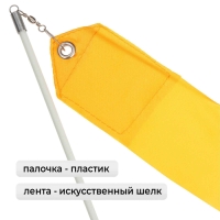 Лента для художественной гимнастики с палочкой Grace Dance, 4 м, цвет оранжевый Лента для художественной гимнастики с палочкой Grace Dance, 4 м, цвет оранжевый