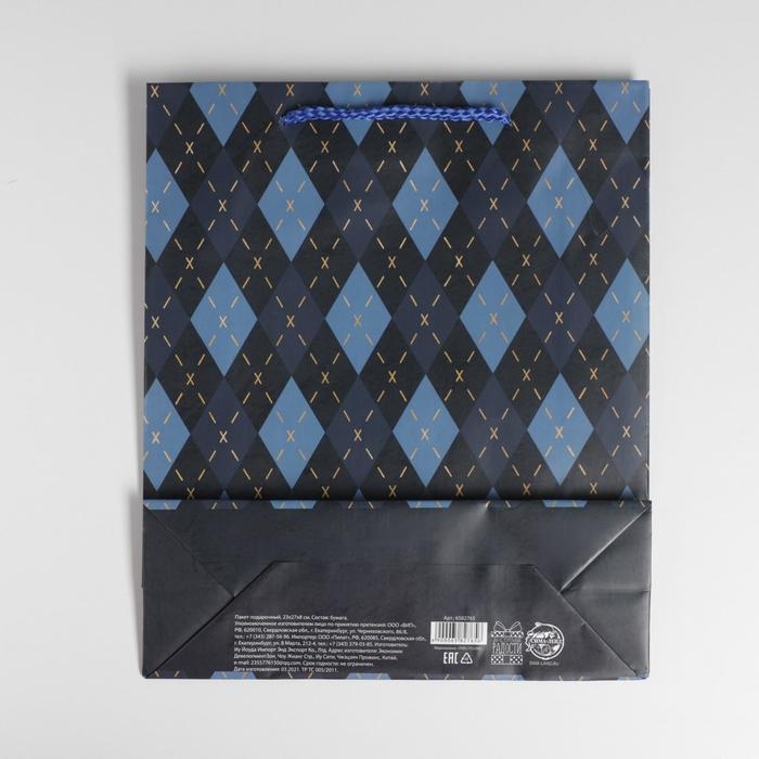 Пакет подарочный ламинированный, упаковка, &laquo;Клетка&raquo;, ML 21 х 25 х 8 см