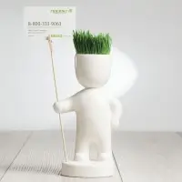 Набор для выращивания Funky Headman Набор для выращивания Funky Headman