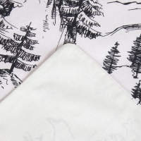 Постельное бельё &laquo;Этель&raquo; 2 сп Winter landscape 175х215 см, 200х220 см,50х70 см -2 шт, поплин