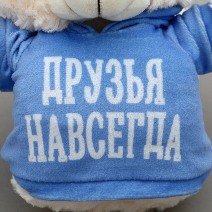 Мягкая игрушка Мишка &laquo;Друзья навсегда&raquo;, в кофте, 13 см