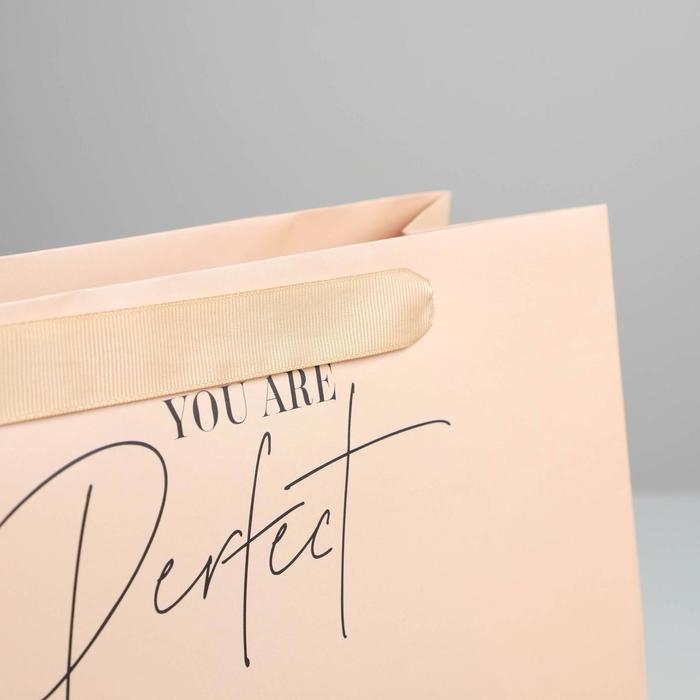 Пакет подарочный ламинированный квадратный, упаковка, «You are perfect», 30 х 30 х 12 см Пакет подарочный ламинированный квадратный, упаковка, «You are perfect», 30 х 30 х 12 см