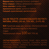 Туалетная вода мужская Domenico&Gusto Instinct, 100 мл Туалетная вода мужская Domenico&Gusto Instinct, 100 мл