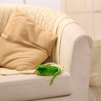 Мягкая игрушка &laquo;Змея&raquo;, 80 см, цвет зелёный