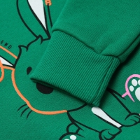 Джемпер детский, цвет зеленый, рост 104