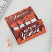 Набор стикеров-закладок «Лучшему учителю», 4 шт., 20 листов Набор стикеров-закладок «Лучшему учителю», 4 шт., 20 листов