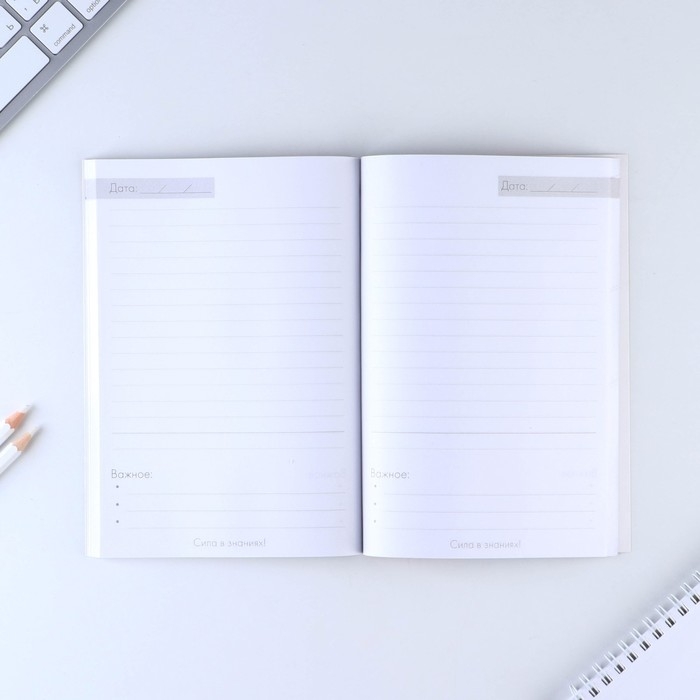 Подарочный набор &laquo;Учителю: УЧИТЕЛЬ&raquo; ежедневник и 2 шт ручки( шариковые, 1 мм, синяя,красная паста)