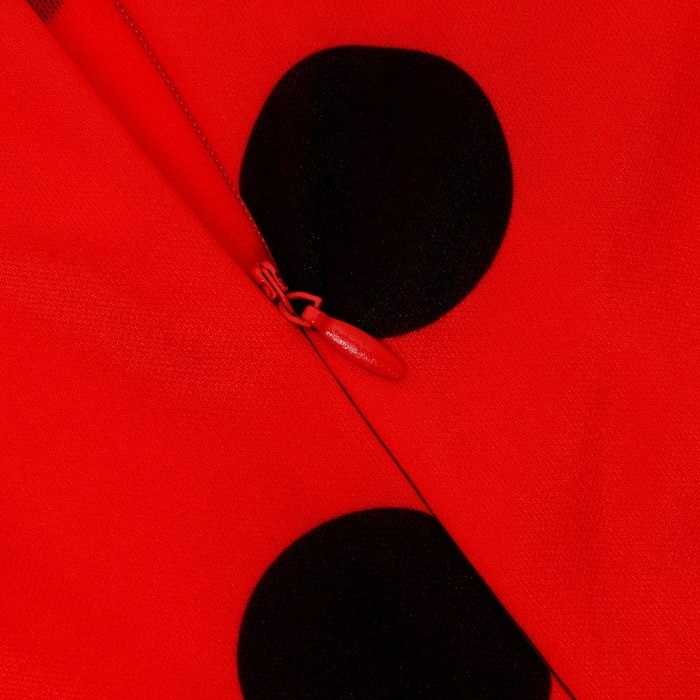 Карнавальный набор &laquo;Божья коровка&raquo;, рост 104&ndash;116 см, комбез, маска, сумка, парик