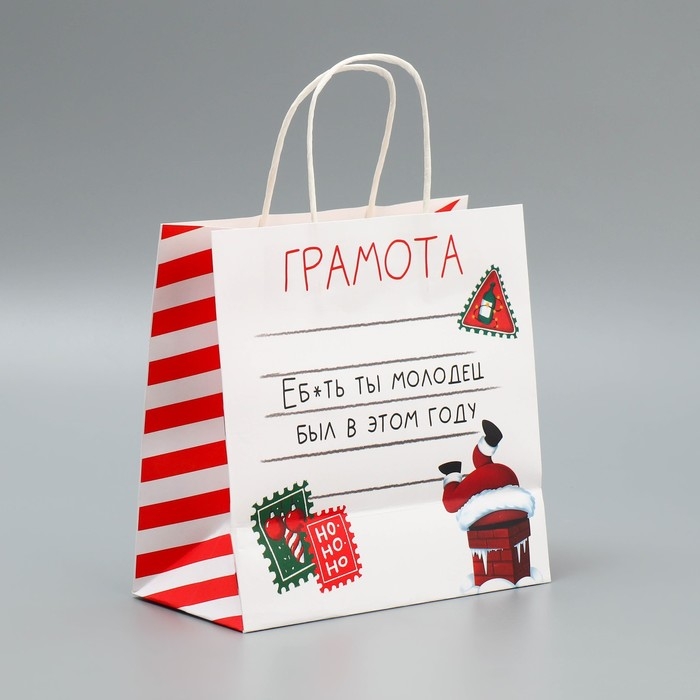 Пакет подарочный новогодний крафтовый «Молодец», 22 х 22 х 11 см, Новый год Пакет подарочный новогодний крафтовый «Молодец», 22 х 22 х 11 см, Новый год