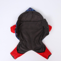 Комбинезон зимний для животных "Лыжник", S (ДС 20-22, ОШ 24-26, ОГ 32-34 см), микс