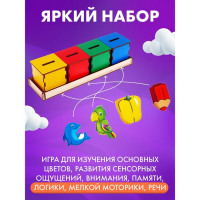 Сортер &laquo;Окружающий мир&raquo;