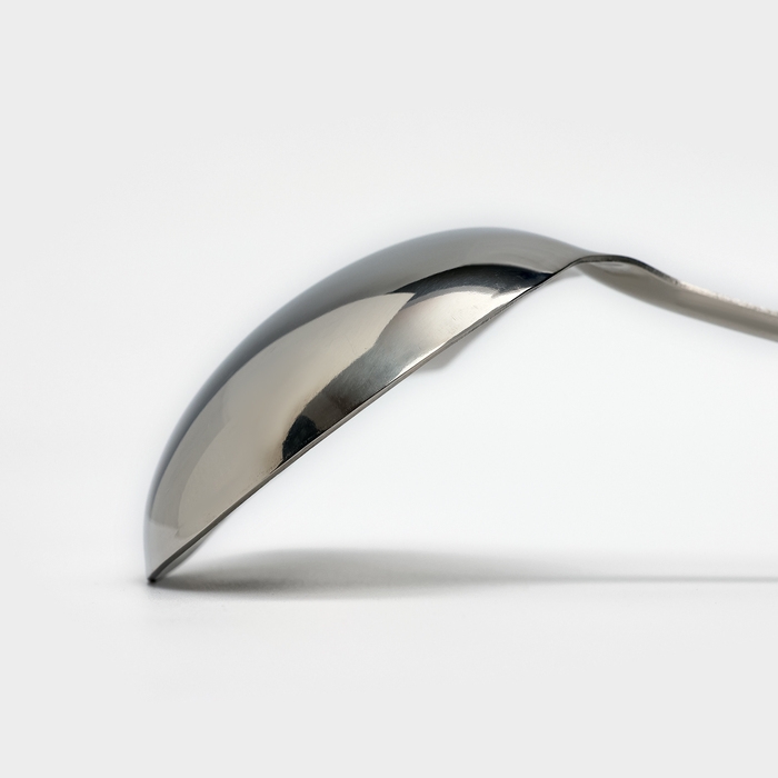 Ложка для соуса из нержавеющей стали Доляна Everyday, 40 мл, 29,5&times;8,5 см, толщина 3 мм, цвет серебряный