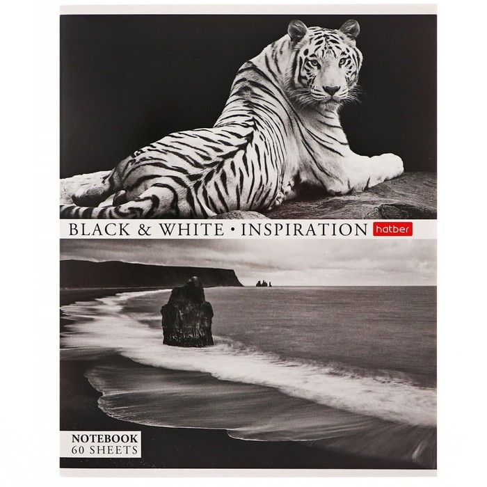 Тетрадь 60 листов в клетку Тетрадь 60 листов в клетку "Вдохновение", обложка мелованный картон, блок офсет 65г/м2