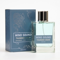 Туалетная вода мужская "Звук Ветра", "Снежная Гроза", 100 мл Туалетная вода мужская "Звук Ветра", "Снежная Гроза", 100 мл