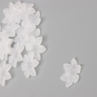 Бусины для творчества пластик "Шестилистный цветок белый матовый" набор 40 шт 2,1х2,1 см Бусины для творчества пластик "Шестилистный цветок белый матовый" набор 40 шт 2,1х2,1 см