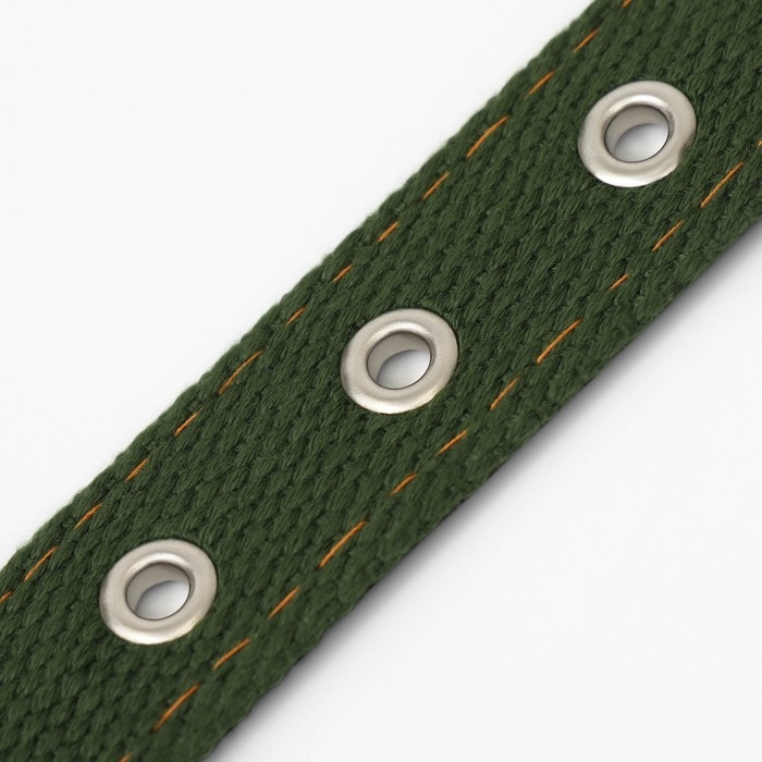 Ошейник брезентовый двухслойный, 59,5 х 2,5 см, хаки