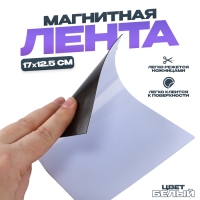 Магнитная лента &laquo;Создай магниты&raquo;, белая, 17&times;12,5 см
