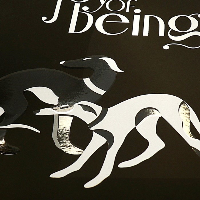 Тетрадь 80 листов в клетку на гребене Secret Place, обложка мелованный картон, матовая ламинация, выборочный лак, фольга, МИКС Тетрадь 80 листов в клетку на гребене Secret Place, обложка мелованный картон, матовая ламинация, выборочный лак, фольга, МИКС