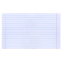 Комплект тетрадей из 10 штук, 12 листов в узкую линию Бумажная фабрика "Зелёная обложка", 60 г/м2, блок офсет, белизна 96% Комплект тетрадей из 10 штук, 12 листов в узкую линию Бумажная фабрика "Зелёная обложка", 60 г/м2, блок офсет, белизна 96%