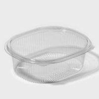 Контейнер пластиковый одноразовый с неразъёмной крышкой ПР-РКС-1000, 1 л, 17,5&times;14,9&times;7,9 см, 10 шт/уп, цвет прозрачный