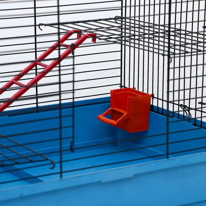 Клетка для грызунов Клетка для грызунов "Сеня 2", 50 x 37 x 37 см, микс цветов