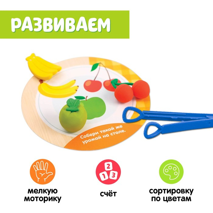 Набор для сортировки &laquo;Вкусная тарелка&raquo;, по методике Монтессори, 20 заданий, 3+