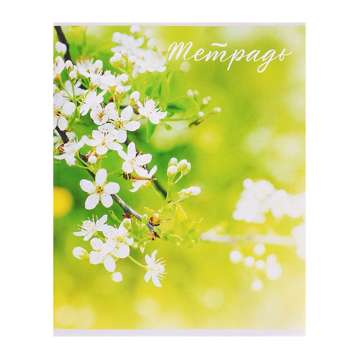 Комплект тетрадей из 5 штук (4 разные + 1 повторяющаяся), 48 листов в клетку Calligrata "Цветы", обложка мелованная бумага, блок №2, белизна 75% (серые листы)