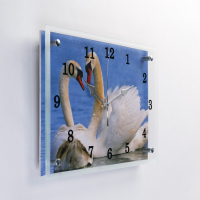 Часы-картина настенные, интерьерные "Лебеди", бесшумные, 25 х 35 см Часы-картина настенные, интерьерные "Лебеди", бесшумные, 25 х 35 см