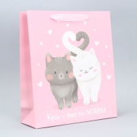 Пакет подарочный ламинированный вертикальный, упаковка, &laquo;Любви и тепла&raquo;, M 26 х 30 х 9 см