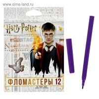Фломастеры 12 цветов, "Гарри Поттер", картонная коробка, с европодвесом Фломастеры 12 цветов, "Гарри Поттер", картонная коробка, с европодвесом